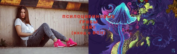 бошки Богданович