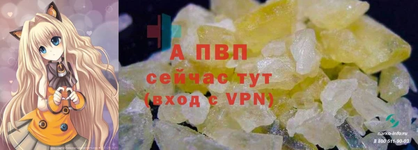 стафф Бронницы