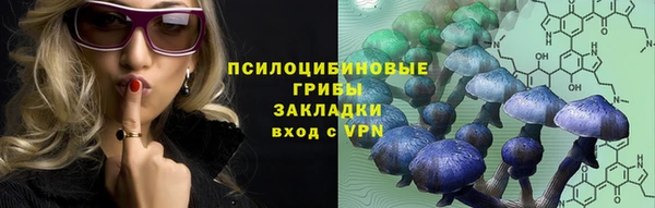Альфа ПВП Богородицк
