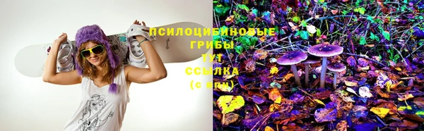 спайс Богородск