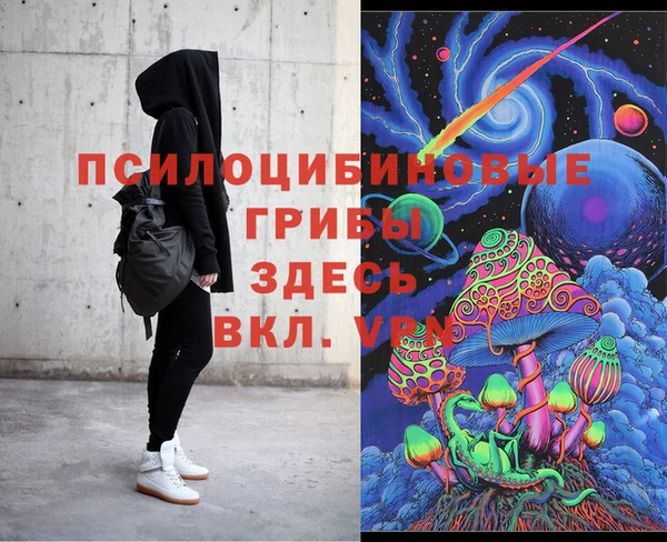 стафф Бронницы