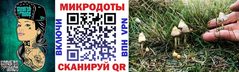 Галлюциногенные грибы прущие грибы  Бутурлиновка 